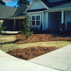 Landscaper in Wilmington NC